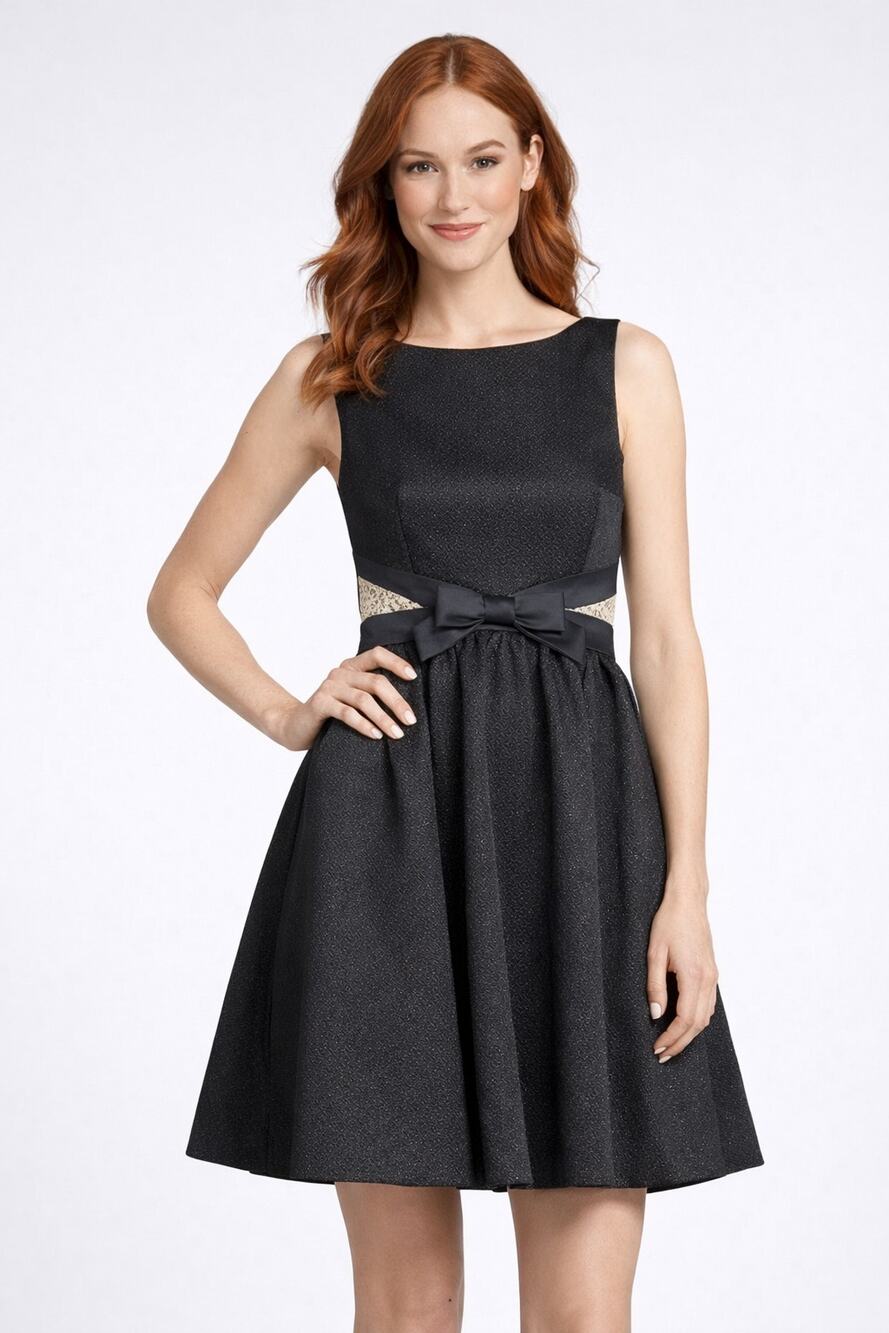 Erin Fetherstone Womens Black Fit Flare Dress Bow Lace Trim Back Zip Size 6 NWT